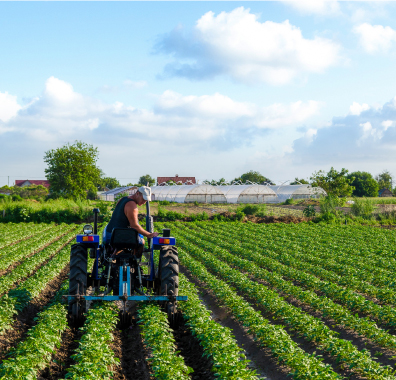 Asesoramos a Coöperatieve Rabobank U.A. en el otorgamiento de una línea de crédito a favor de Camposol Perú y Camposol Colombia