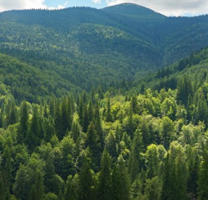 Supuestos en los que aplica un ITS y la comunicación previa de actividades que no requieren la modificación del Instrumento de Gestión Ambiental